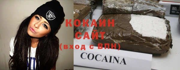 apvp Рославль